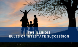 Illinois Rules Of Intestate Succession