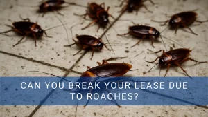 Image of roaches with can you break your lease due to roaches superimposed